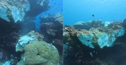 綠島知名潛點「黑毛礁」疑地震結構受損斷裂